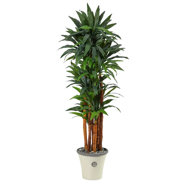 Nearly Natural 69 inch Dracaena Artificial Tree in Decorative Planter