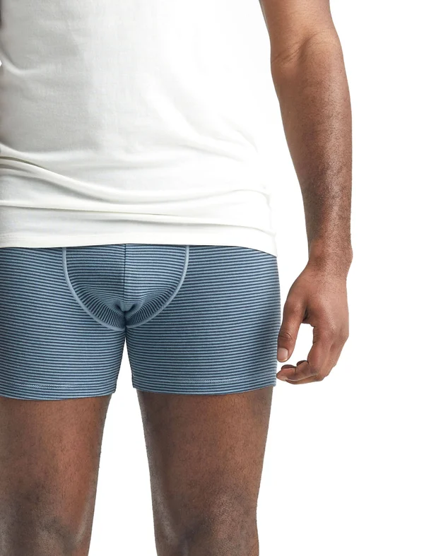 Icebreaker Anatomica Boxers - Men's Gravel, L