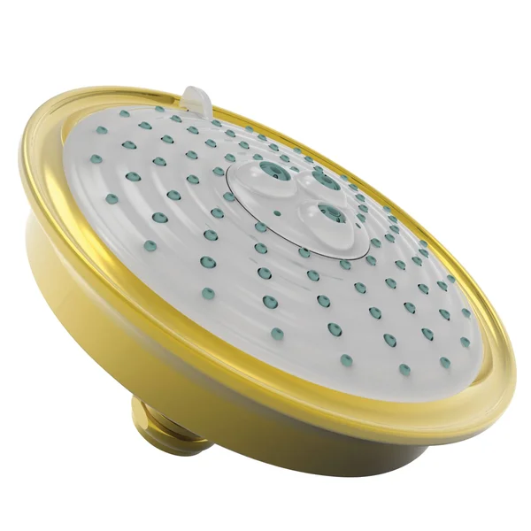 Newport Brass 2144/03N Showerhead - Uncoated Polished Brass
