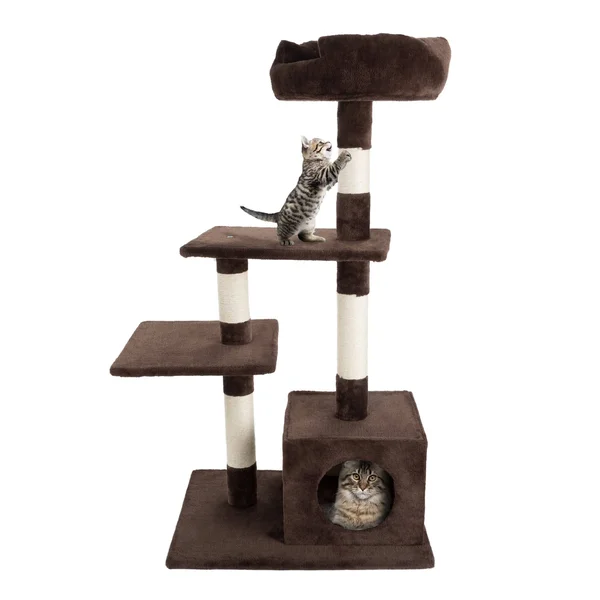 Petmaker 4 Tier Cat Tree- Plush Multi-Level Cat Tower with Sisal Scratching