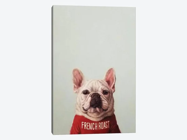 French Roast Canvas Artwork Print by Lucia Heffernan ( Animal Art > Dogs > French Bulldogs art)