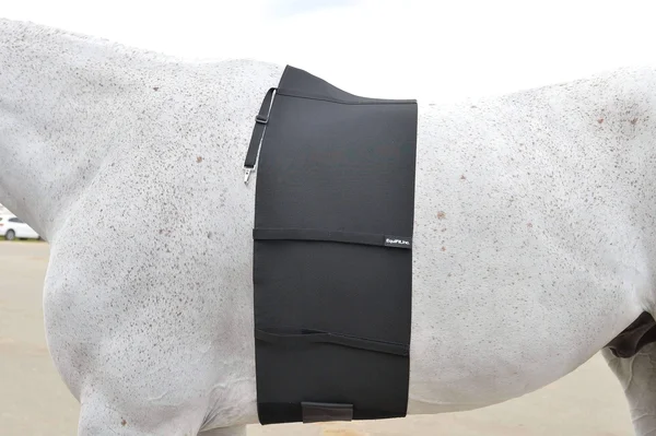 EquiFit Bellyband - Horse