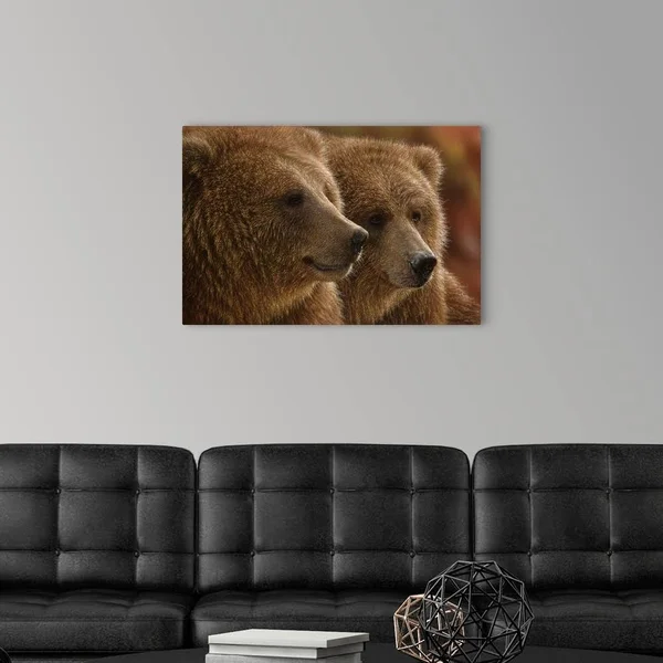 Brown Bears - Lazy Daze, Canvas Wall Art, 30x20, Great Big Canvas