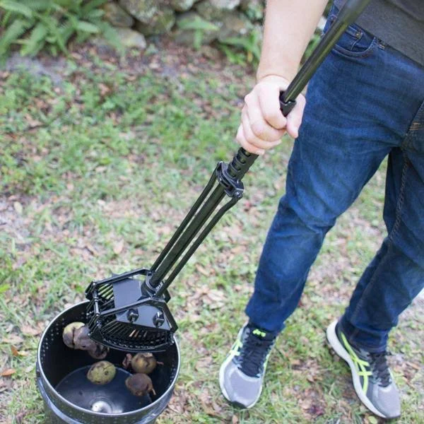 Stab-A-Nut Black Walnut Harvester