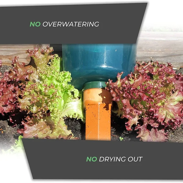 Bio Green HCPS4 Garden Plant Self Watering System Kit - Set of 4 Cups and Stakes