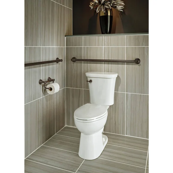 Delta 41350-SS Traditional Tissue Holder-Assist Bar - Stainless