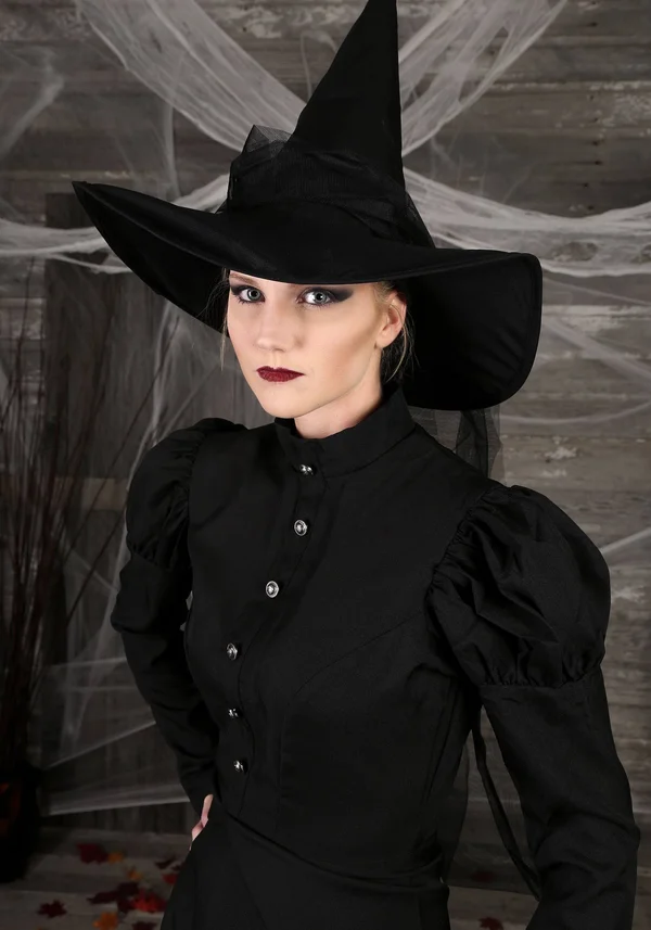 FUN Costumes Women's Plus Size Witch Costume - Black, 2X