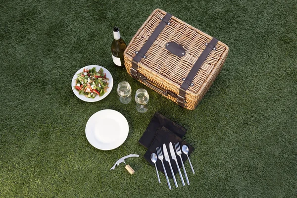Picnic Time Champion Picnic Basket - Black