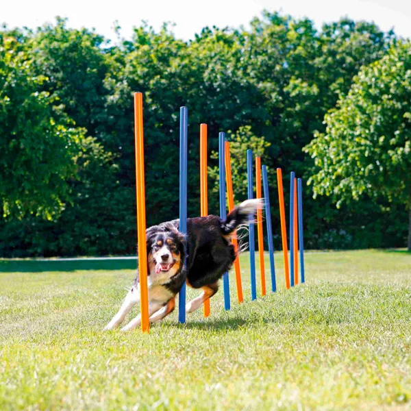Agility Slalom Masts, 115Xø 3 cm Trixie
