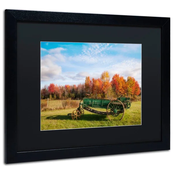 Trademark Fine Art The Old Rake by Michael Blanchette Framed Photographic Print - Size: 16x22 H x 20x22 W x 0.5x22 D - Matte Colo