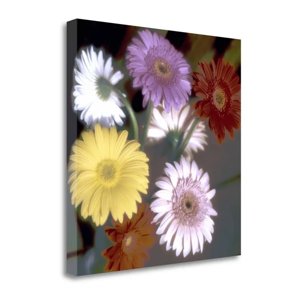 20x22 x 20x22 Floral Color - 6 by Alan Blaustein Fine Art Giclee Print
