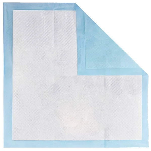 PaWz New 200pcs 60x60cm Puppy Pet Dog Indoor Cat Toilet Training Pads Absorbent