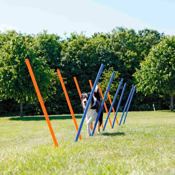Agility Slalom Masts, 115Xø 3 cm Trixie