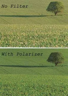 B+W Circular Polarizer - Filter - circular polarizer - 67 mm