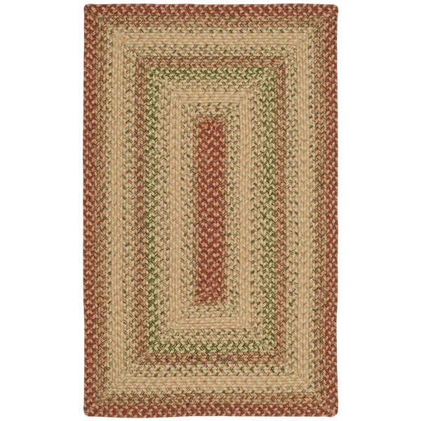Safavieh Braided BRD303A Area Rug - Rust/Multi, Size: 5 x 8 ft.