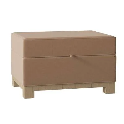 Brandes Storage Ottoman Winston Porter Body Fabric: Ireland Café - Leg Color: Black