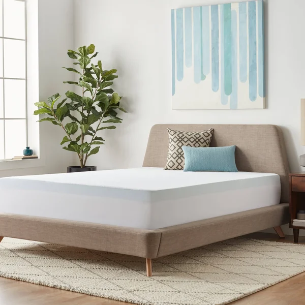 Lucid Comfort Collection 3-Inch Gel Memory Foam Mattress Topper with Premium Waterproof Mattress Protector, Size: Queen