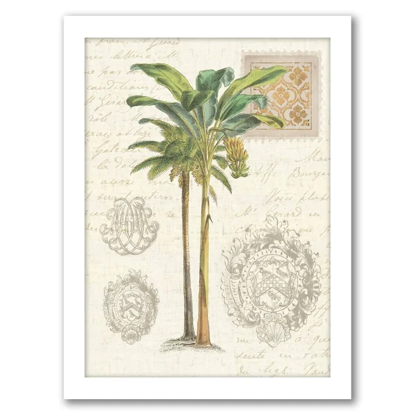 Americanflat Vintage Palm Study I by Wild Apple Portfolio Black Framed Print 11x14