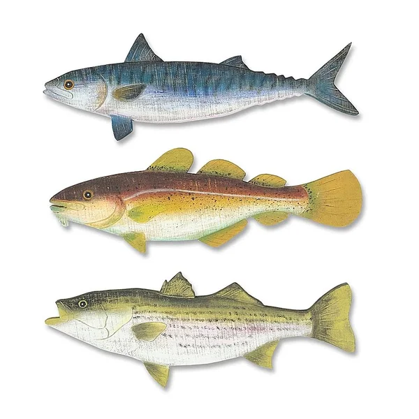 T.I. Design Ocean Fish Set 20x22 x 21x22 Wall Art (Set of 3) Multi