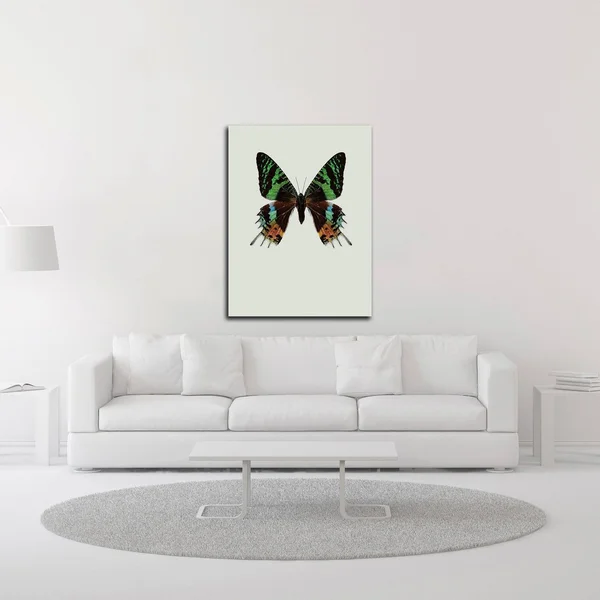 32x22 x 24x22 Chrysiridia rhipheus by Incado Print on Canvas