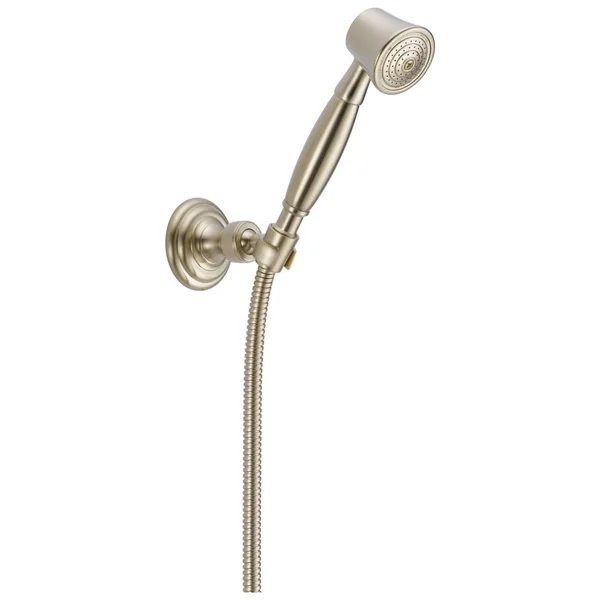 Brizo - RP41202BN - Vesi Wall-Mount Hand Shower Brushed Nickel
