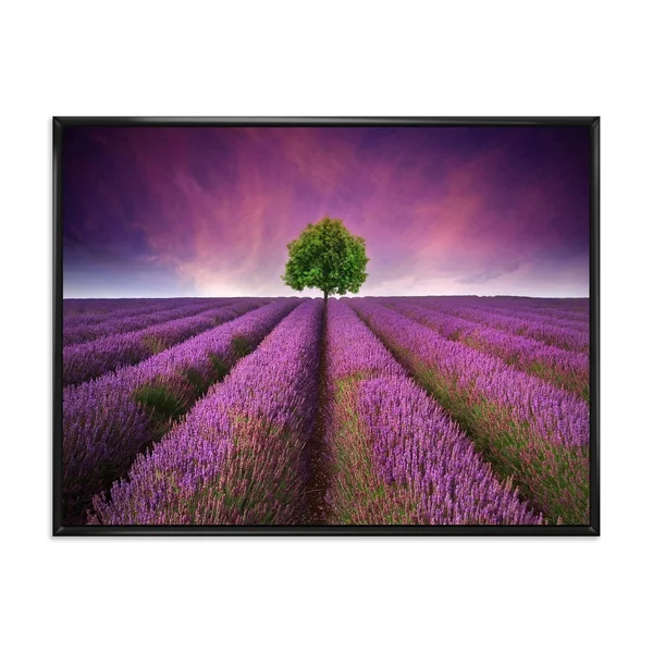 Designart &Stunning Lavender Field Summer Sunset with Tree& Farmhouse Framed Canvas Wall Art Print - 20 in. Wide x 12 in. High