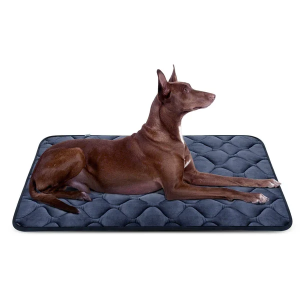 Dog Bed Mat Washable - Soft Fleece Crate Pad - Anti-Slip Matress