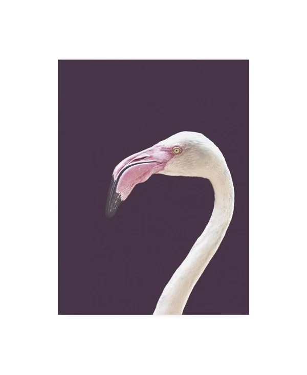 Trademark Fine Art Ic01451-C3547Gg Design Fabrikken 'The Flamingo Fabr