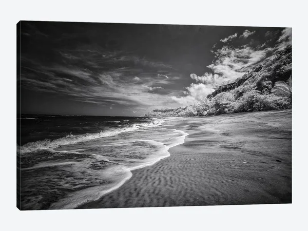 iCanvas Beach Black & White - Bahia - Brazil Art by Glauco Meneghelli Canvas Art Wall Decor ( places > South America u003