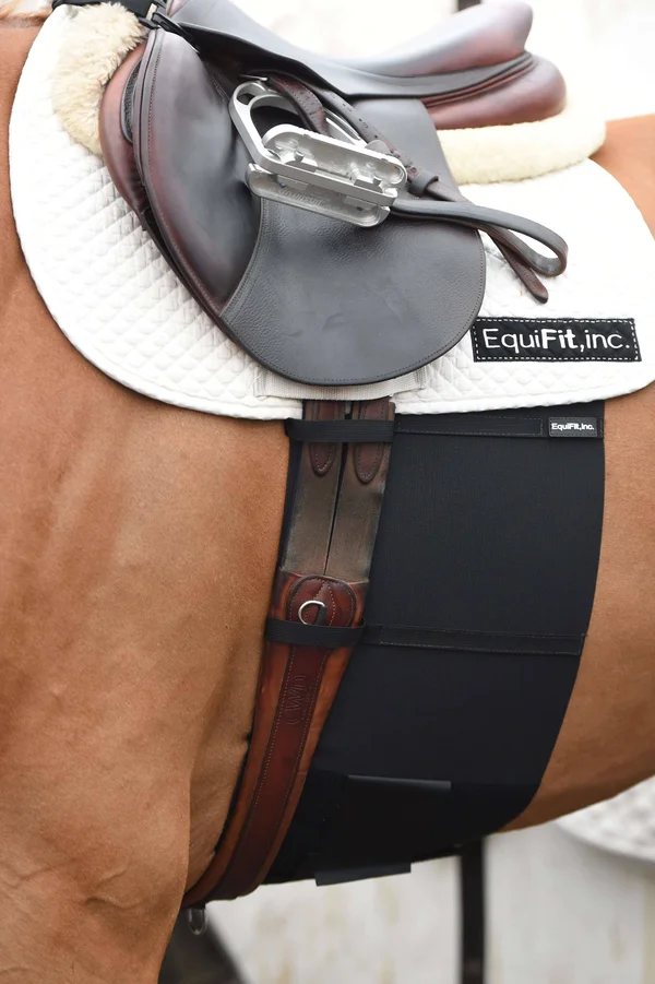 EquiFit Bellyband - Horse