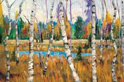 Framed Poster Prints - October Parade by Graham Forsythe ( Floral & Botanical > Tree Art > Aspen Trees art)