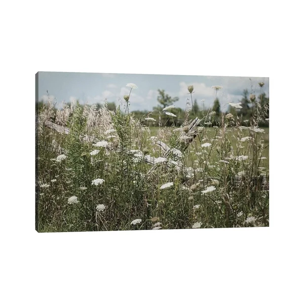 iCanvas Sun Drenched III by Elizabeth Urquhart Canvas Print - 12x18x0.75