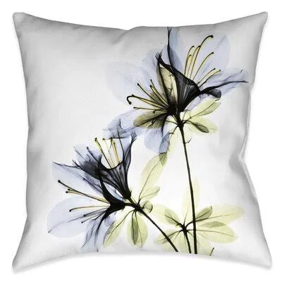 Kepa X-Ray Decorative Square Pillow Cover & Insert Red Barrel Studio