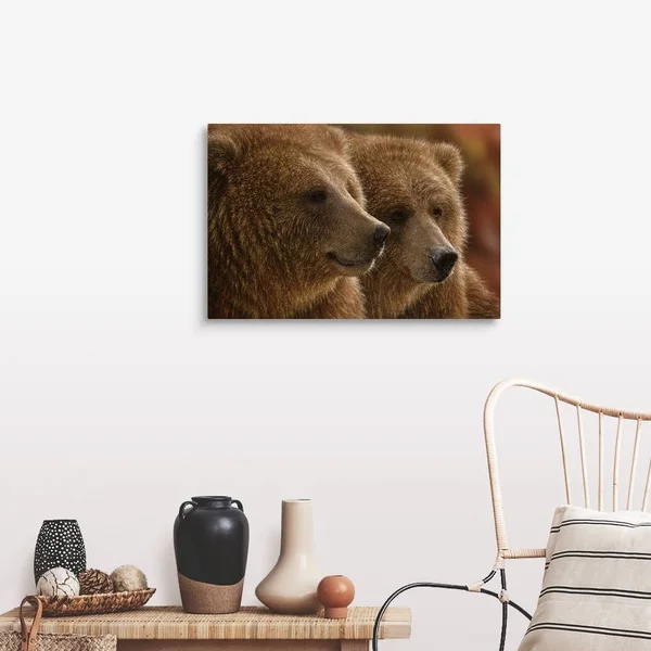 Brown Bears - Lazy Daze, Canvas Wall Art, 30x20, Great Big Canvas