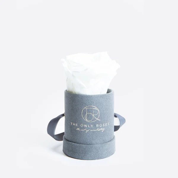 The Only Roses - Petite Round Gray Suede Hat Box with Single White Everlasting Preserved Rose