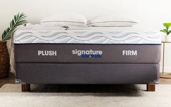 Bob-O-Pedic Signature Gel Queen Dual Standard Mattress Set by Bob's Discount Furniture