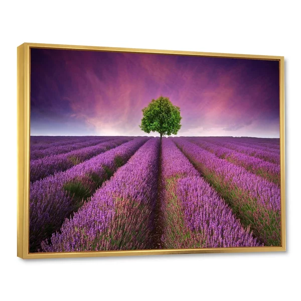 Designart &Stunning Lavender Field Summer Sunset with Tree& Farmhouse Framed Canvas Wall Art Print - 20 in. Wide x 12 in. High
