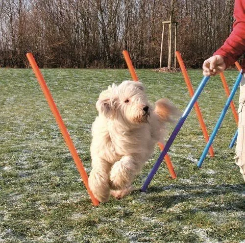 Agility Slalom Masts, 115Xø 3 cm Trixie