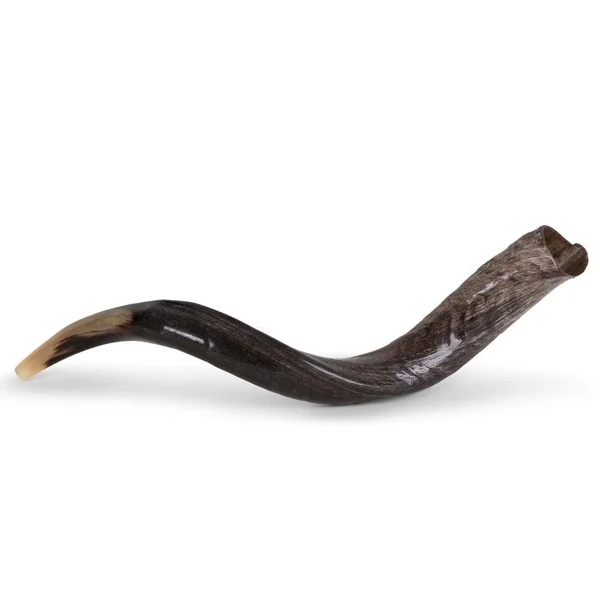 20x22-22x22 Yemenite Kudu Shofar - Natural