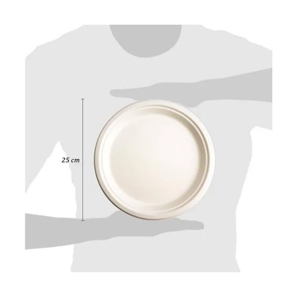 Green Earth - Natural Bagasse (Sugarcane Fiber) Tree Free 10x22 Paper Plate - Biodegradable, Compostable (500 Counts Disposable