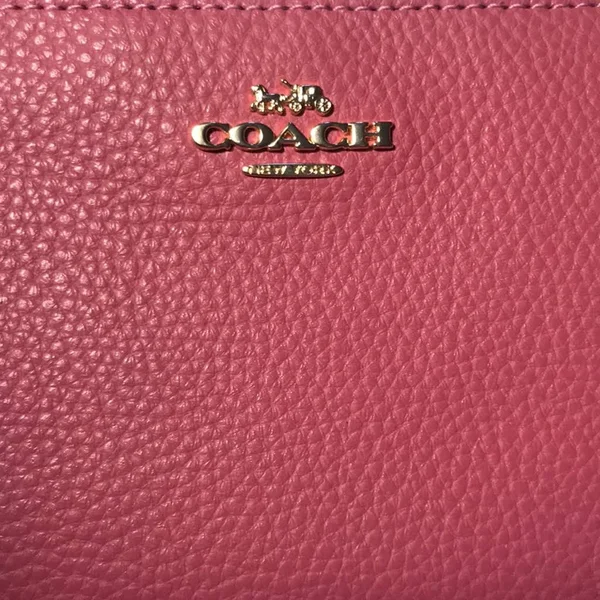 Nwt Coach F87590 Double Corner Zip Strawberry Wallet Wristlet