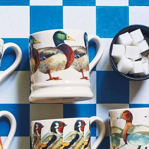 Emma Bridgewater Birds Mallard 1/2 Pint Mug