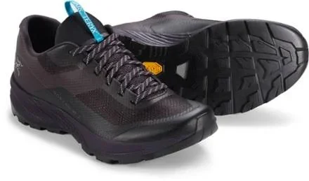 Arc&teryx Women's Norvan VT 2 GTX Shoe - Dimma/dark Firoza, Size 9.5