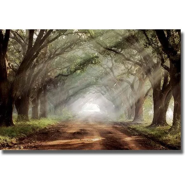 Artistic Home Gallery 2436526S Evergreen Plantation by Mike Jones Premium Stretched Canvas Wall Art