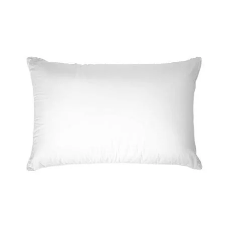 Firm Canopy Classic Dreams Firm Down Medium Support Pillow Bed Bath Hotels Size: King