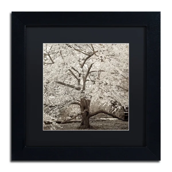 Trademark Art Alan Blaustein 'Hampton Magnolia II' Black Matted Framed Art