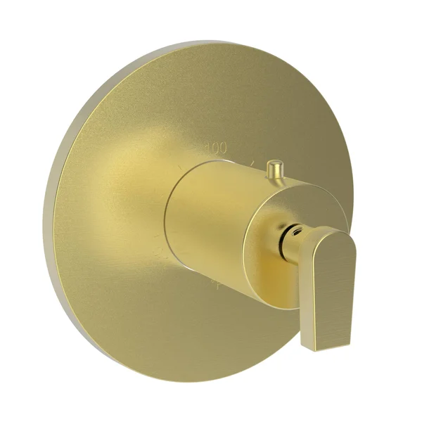 Newport Brass 3-2974TR/06 Dorrance 3/4x22 Round Thermostatic Trim Plate with Handle Antique Brass