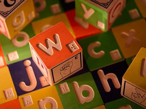 Uncle Goose Braille ABC Sign Language Blocks