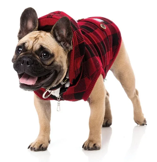 FuzzYard The Rocker Denim Dog Jacket - FabUPaws Boutique XX-Large