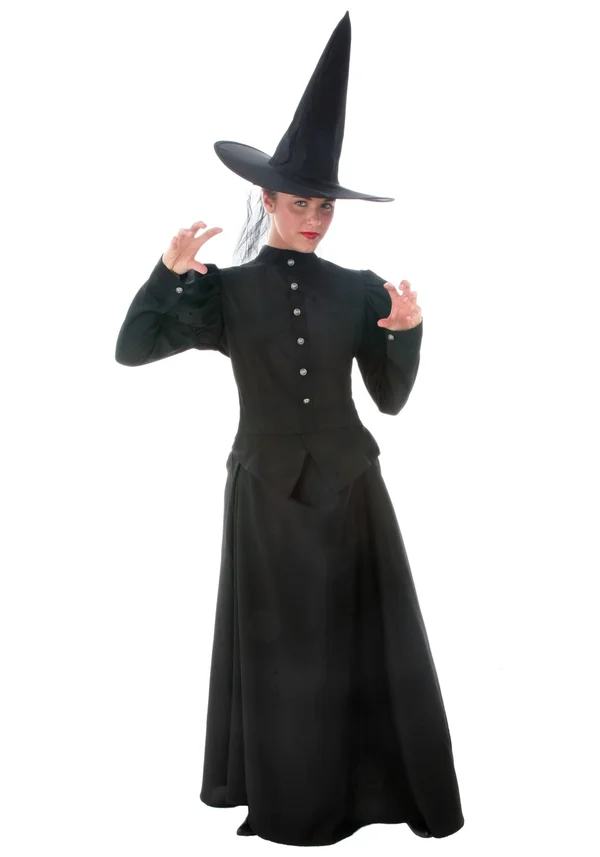 FUN Costumes Women's Plus Size Witch Costume - Black, 2X